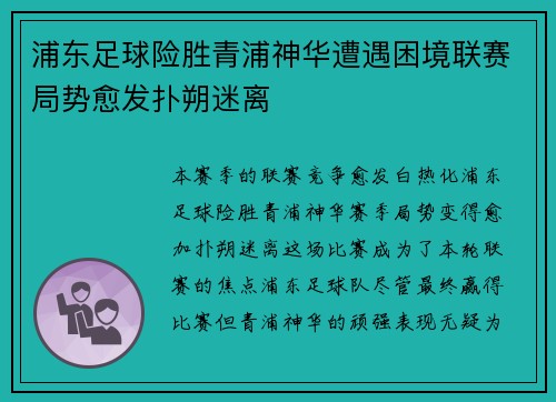 浦东足球险胜青浦神华遭遇困境联赛局势愈发扑朔迷离