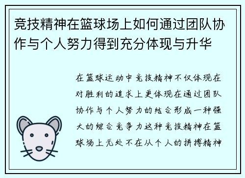 竞技精神在篮球场上如何通过团队协作与个人努力得到充分体现与升华