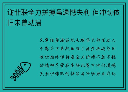 谢菲联全力拼搏虽遗憾失利 但冲劲依旧未曾动摇